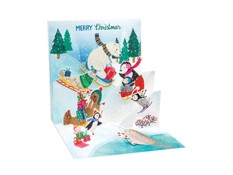 Artic Sledding