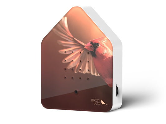 Birdybox Red Cardinal