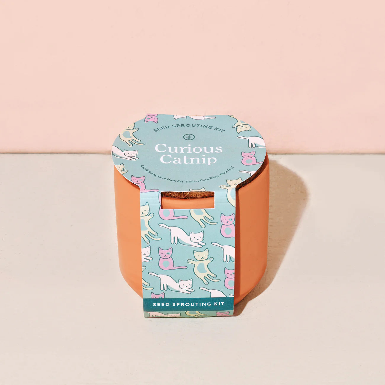 Tiny Terracotta Pet Plant Kits