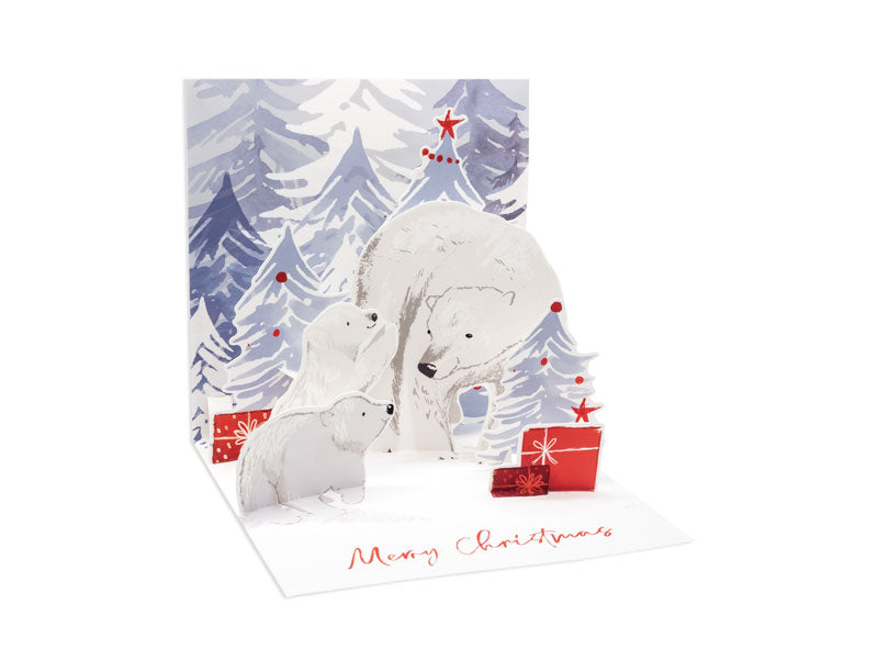 Polar Christmas