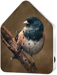 Birdybox