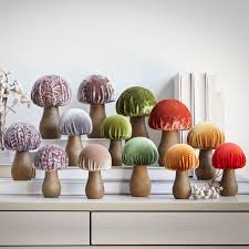Velvet Mushrooms