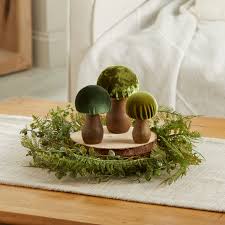 Velvet Mushrooms