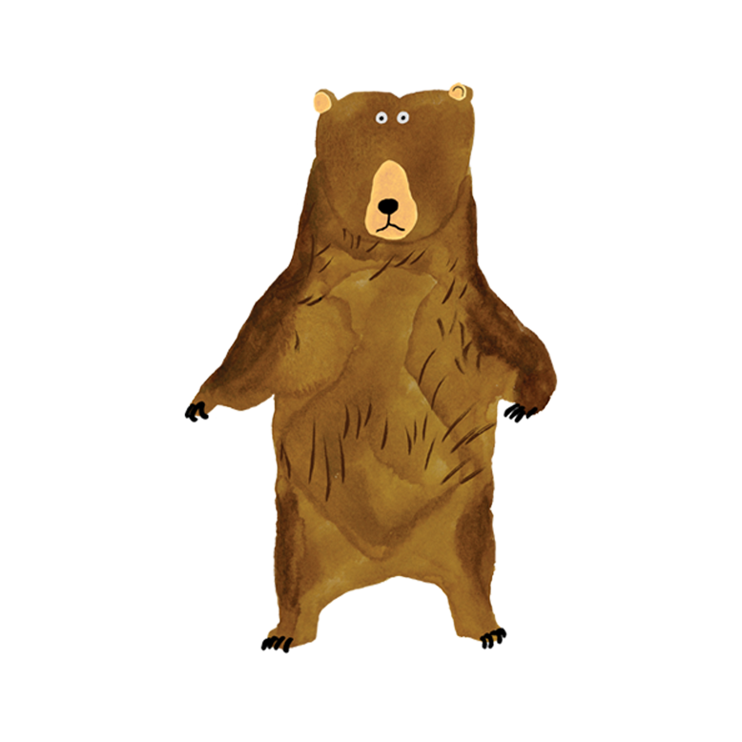 Bear Stare Tattoo Pair
