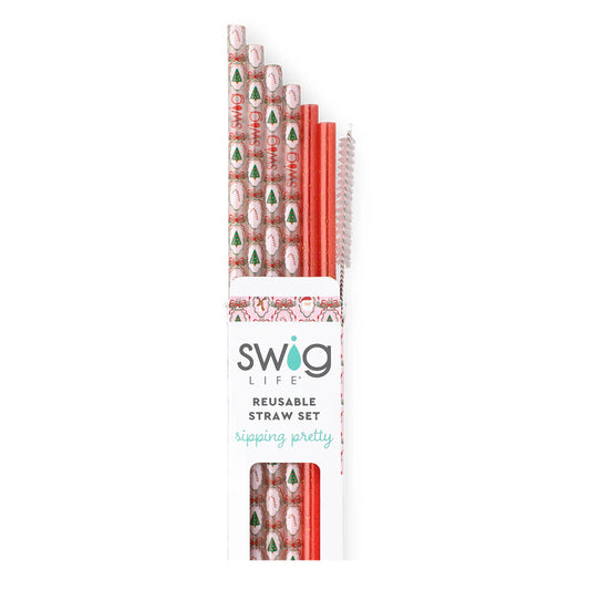 Reusable Straw Set