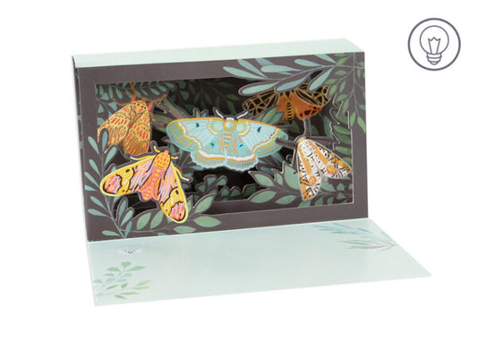 Moths Pop-Up card