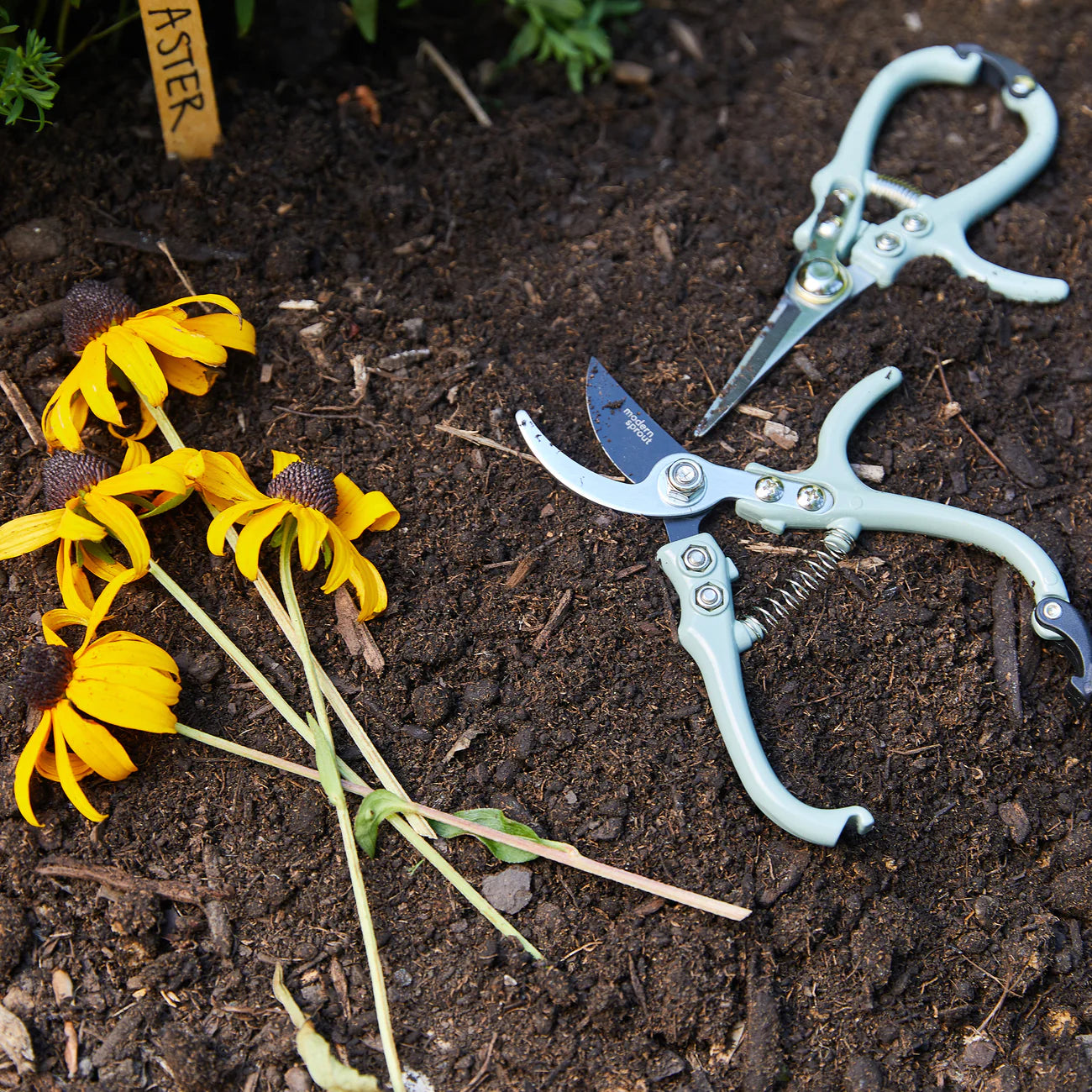 Garden Pruners