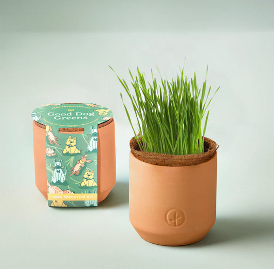 Tiny Terracotta Pet Plant Kits