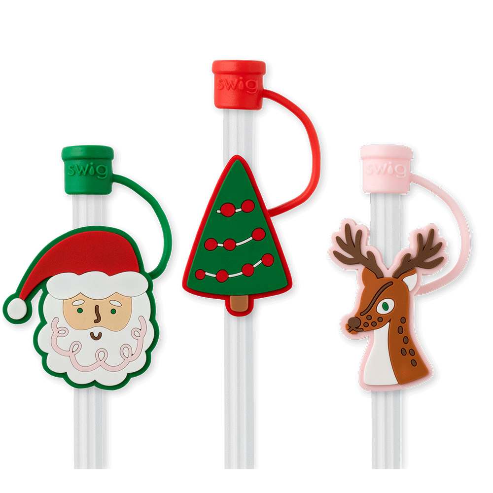 Swig Life Straw Topper Set