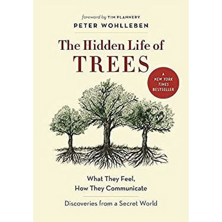 The Hidden Life of Trees: What They Feel, How They Communicate