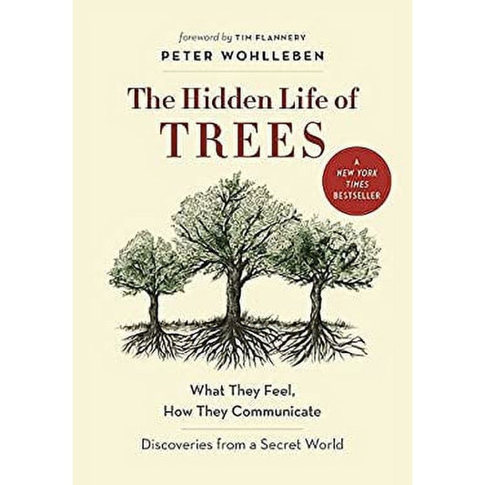 The Hidden Life of Trees: What They Feel, How They Communicate