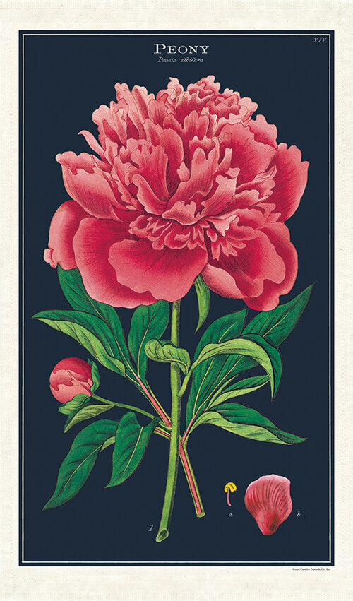 Vintage Peony Tea Towel