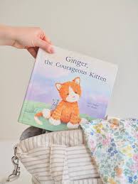 Ginger the Courageous Kitten