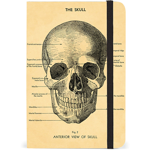 Skull Notebook