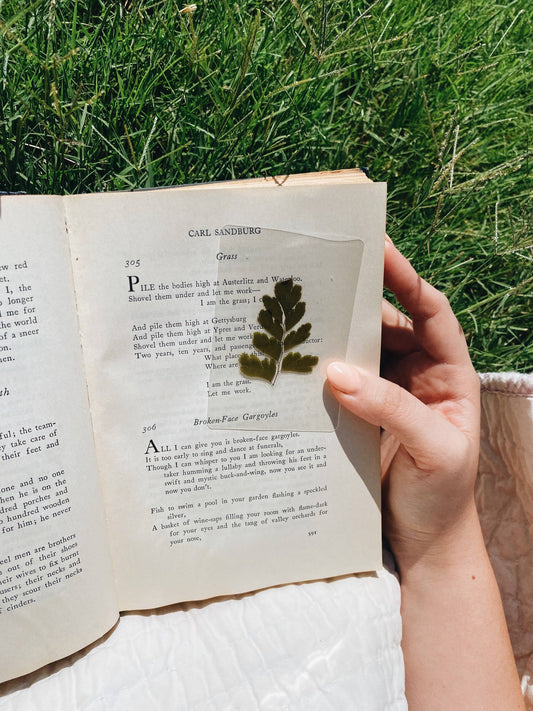 Mr. Darcy Bookmark